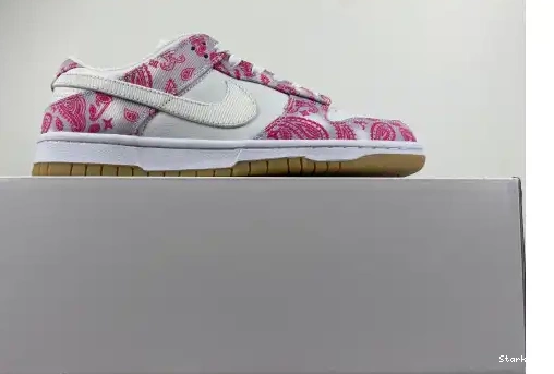 Nike Dunk Red Gum CT5053-061 Rose Low SB White 0528